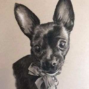 Meet your Posher, Natalie